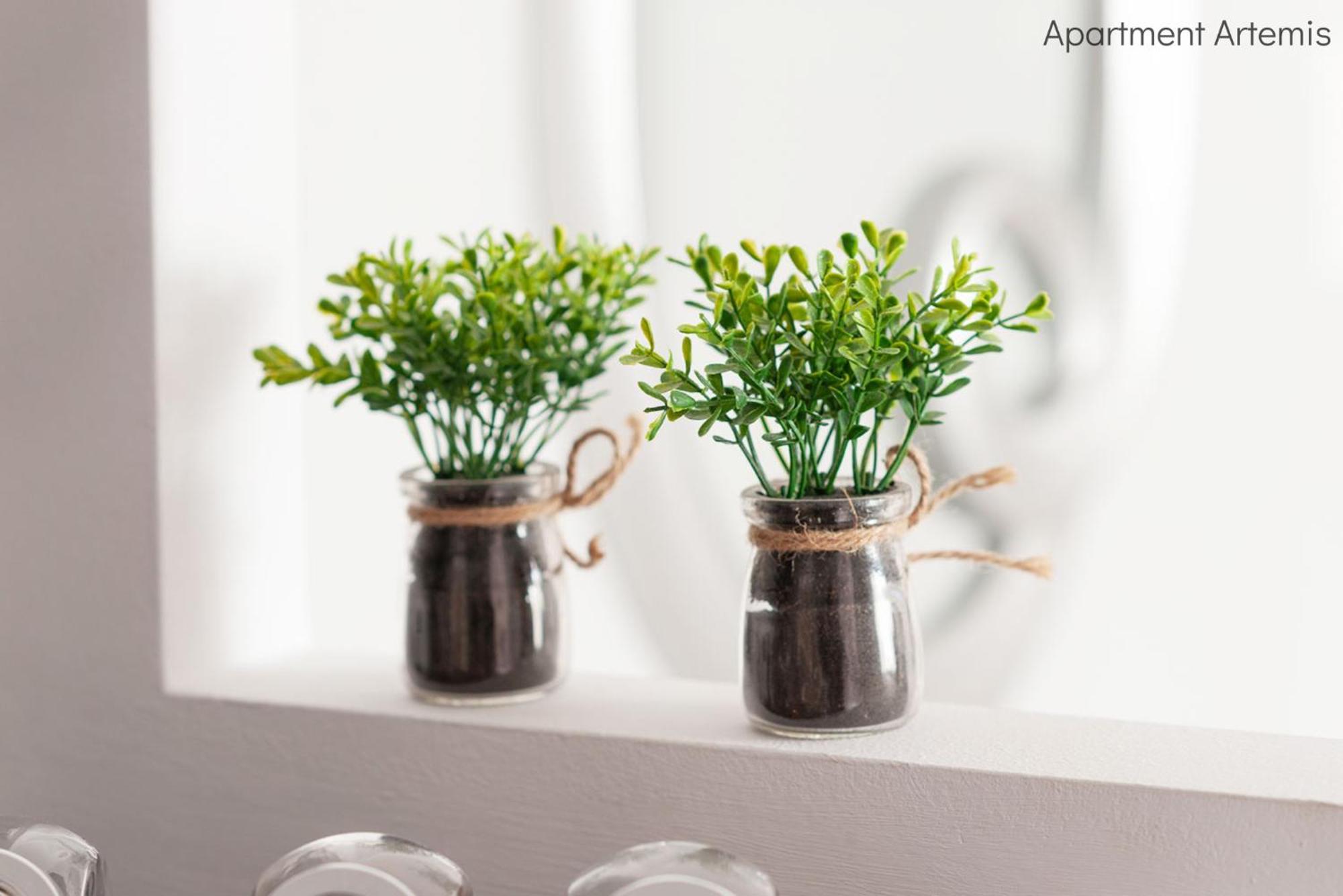 Apollo & Artemis By Heloni Apartments เอเธนส์ ภายนอก รูปภาพ